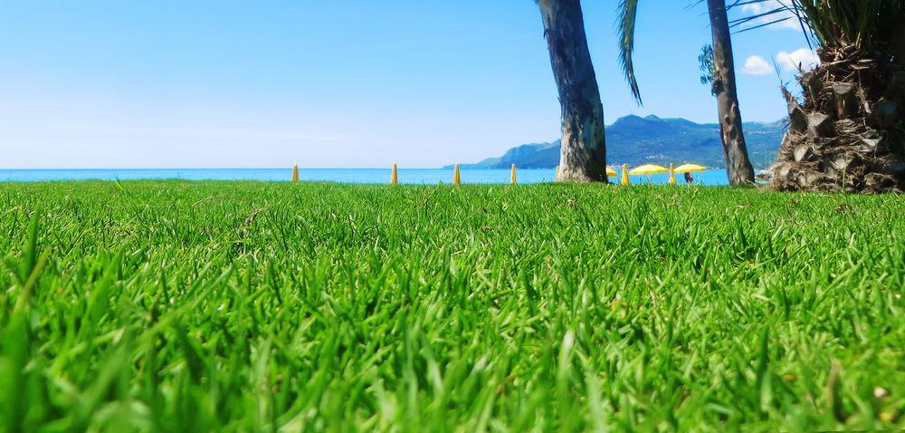 Hotel Eden Park Cilento Ispani Bagian luar foto